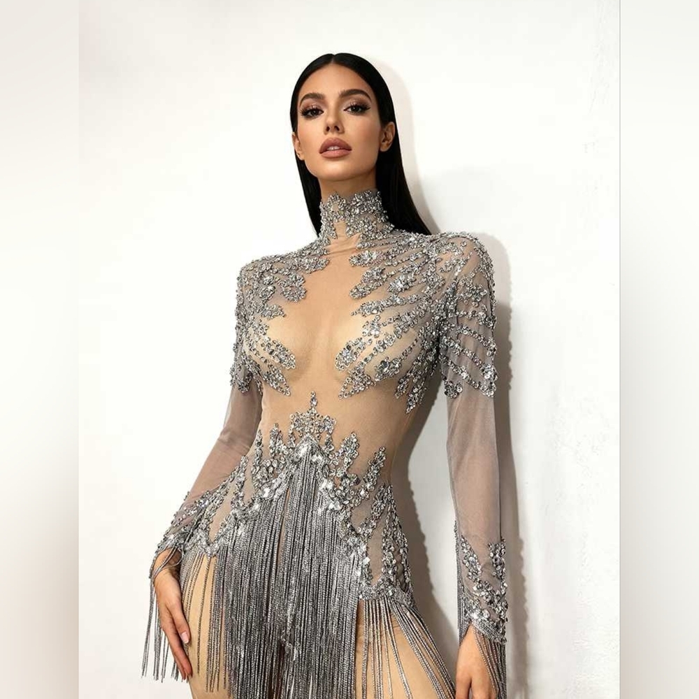 Special Occasion Silver Embellished Long Sleeve Dress